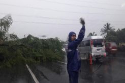 Pohon Tumbang Tutup Sebagian Ruas Tol Jakarta-Cikampek Km 17