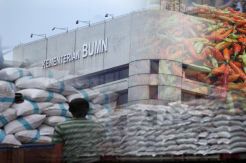 Pengamat Ini Prihatin Tak Banyak BUMN Fokus Produksi Pangan