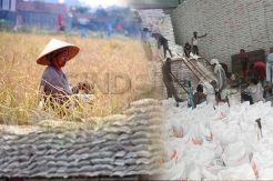 Pemerintah Diminta Mampu Kendalikan Masalah Pangan