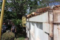 Nekat Panen Sawit Milik Perusahaan, Hardi Ditangkap Satpam