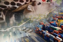 Impor Daging Kerbau dari India, Pemerintah Dinilai Tergesa-gesa
