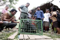 Warga Serang Serahkan Lutung Jawa ke BKSDA