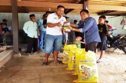 Indonesia Able Not to Rice Import Again