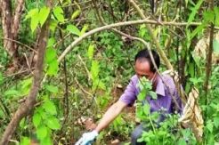 Pamit Cari Rumput, Wawan Ditemukan Tak Bernyawa di Kebun