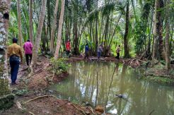 Cari King Cobra 6 Meter, Pawang Ular Datangi Muara Nusawiru