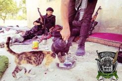 Fatwa ISIS: Kucing Dilarang...
