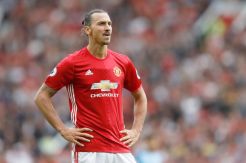 Atlet UFC Tantang Ibrahimovic...