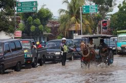 Hujan Deras Semalaman, Pantura Pasuruan Terendam Banjir