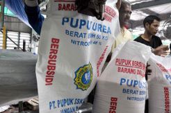 Kali Pertama di Indonesia, Lampung Salurkan Pupuk Via Online