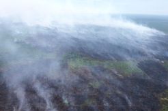 Puluhan Bom Air Dijatuhkan Padamkan Kebakaran 50 Ha Lahan di Meranti