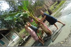 Aksi Ibu Rumah Tangga Tanam Pohon Pisang di Jalan Raya