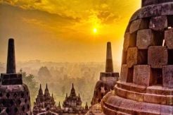 Found, Site Covering Four Times Borobudur Temple