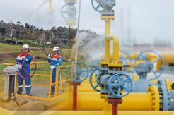 DPR Ungkap Belum Bahas Rencana Akuisisi PLN-PGE