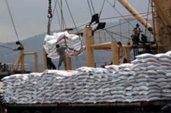 Indef: Upaya Bangun Kemandirian Pangan Jauh dari Harapan