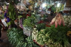 Pemerintah Disarankan Bentuk Lembaga Pangan Nasional