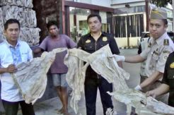 16 Ton Kulit Sapi Ilegal untuk Pembuatan Jaket Diamankan