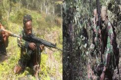 Baku Tembak dengan Gerombolan Bersenjata di Papua, 1 Anggota Ton Taipur Terluka
