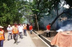 Rescue Perindo Datang, Demam Berdarah Hilang