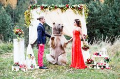 Huge Brown Bear Witnessed Russian Couple Married