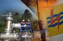 Caplok PGE, Keuangan PLN Harus Kuat