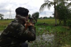 Meresahkan Warga, Enam Ekor Anjing Liar Ditembak