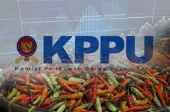 Sidak Pasar Tradisional, KPPU Temukan Cabai Oplosan