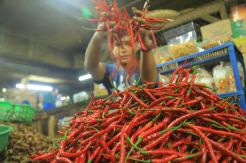 Harga Mahal, Pedagang Mulai Jual Cabai Busuk