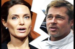 Jolie-Pitt Agreed Seal All Court Divorce Documents