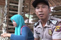 Kantongi Rp6 Juta Sebulan dari Beternak Burung Puyuh