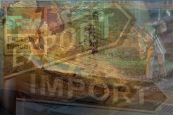 Freeport Cs Dapat Izin Ekspor Konsentrat Kembali