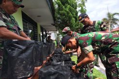 Keren, Prajurit TNI Gelar Aksi Tanam Ribuan Bibit Cabai