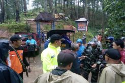 Dua Wisatawan Tewas Tertimpa Pohon Pinus di Magelang