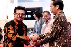 Gubernur Sulsel Raih Penghargaan TPAKD Teladan 2016