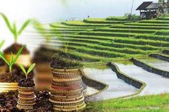 Lahan Terbatas, Pemerintah Tidak Berani Patok Target Pertanian