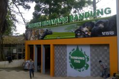 Kebun Binatang Bandung Akui Kardit Sempat Sakit