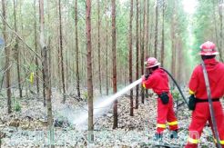 For Fire Management, APP Sinar Mas Hold Canada and South Africa Expert