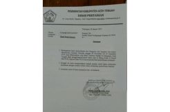 Heboh Bakso Sapi Mengandung Babi di Aceh Tengah