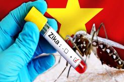 Zika Virus May Go Endemic in Vietnam