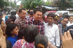 Blusukan di Tegal Alur,...