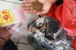 BNN Banten Sita 2 Kg Tembakau Gorila dari Pegawai Kecamatan