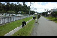Kader Perindo Gotong Royong Bersihkan TPU