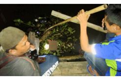 Dikira Boneka, Ternyata Orok Mengapung di Sungai Martapura