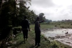 Tanggul Sungai Citalahab Jebol, Puluhan Hektare Sawah Terendam