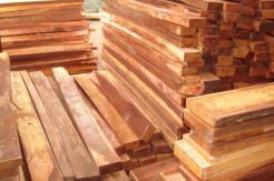 Penyelundupan Ratusan Kayu Ilegal dari Sultra Digagalkan