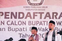 Ahmad Dhani Failed Became Vice Regent of Bekasi