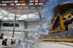 BEI Sangat Berharap Freeport IPO meski Banyak Masalah