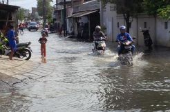 Rawa Buaya Masih Direndam Banjir