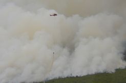 Atasi Kebakaran Hutan, Riau Dapat Tambahan Helikopter Water Bombing