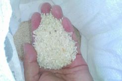 Jatah Beras untuk PNS di TTU Diberikan pada Ayam
