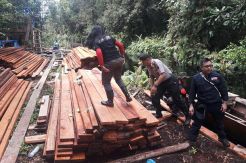 Perambah Cagar Biosfer Riau Kembali Ditangkap, Kapolda Minta Cukong Dicari
